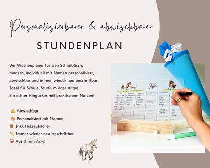 Stundenplan Acryl Pferde