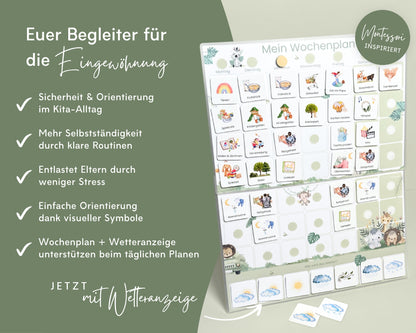 Kitastart-Set SAFARI