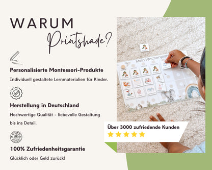 Wochenplaner inkl. Symbolkarten - Design DINOSAURIER - Personalisierbar