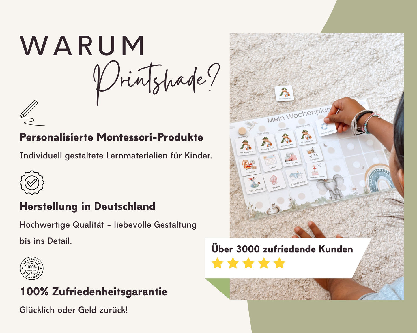 Wochenplaner inkl. Symbolkarten - Design WALDTIERE - Personalisierbar