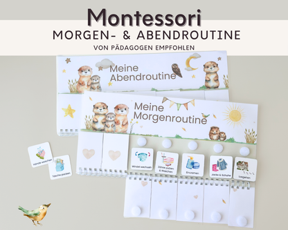 Montessori Routineplaner Otter mit Morgenroutine und Abendroutine, Symbolkarten und Klettpunkten von Printshade