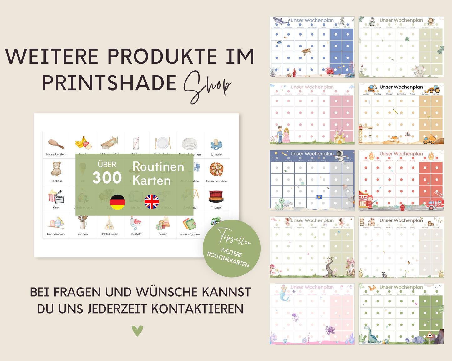 Haushaltsplan To-Do-Liste inkl. Symbolkarten - Design BUNT