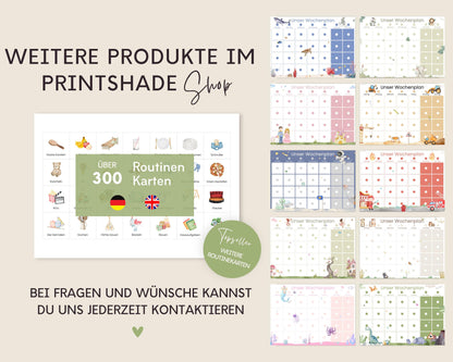 Haushaltsplan To-Do-Liste inkl. Symbolkarten - Design BUNT