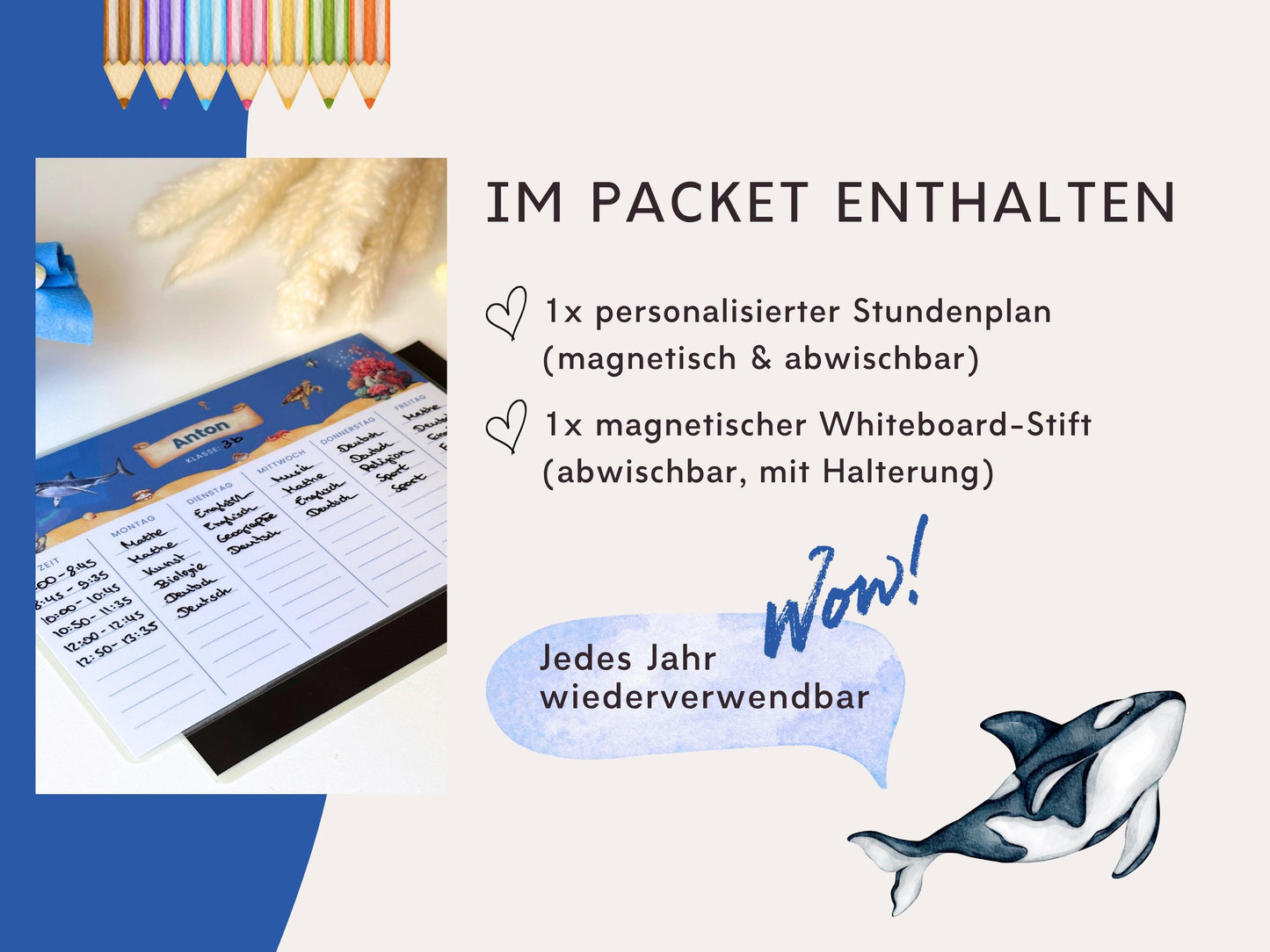 Stundenplan Magnet personalisierbar - Design MEER