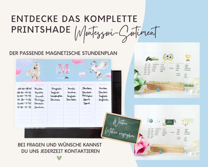 Stundenplan Acryl personalisierbar - Design EINHORN