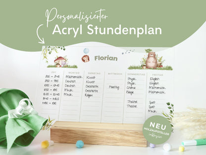 Stundenplan Acryl personalisierbar - Design WALDTIERE