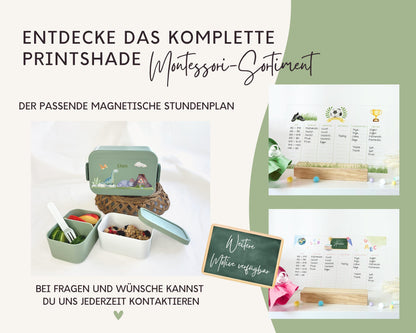 Stundenplan Acryl personalisierbar - Design DINOSAURIER