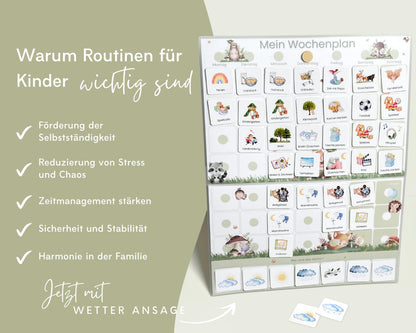 Wochenplan Verlängerung WALDTIERE 