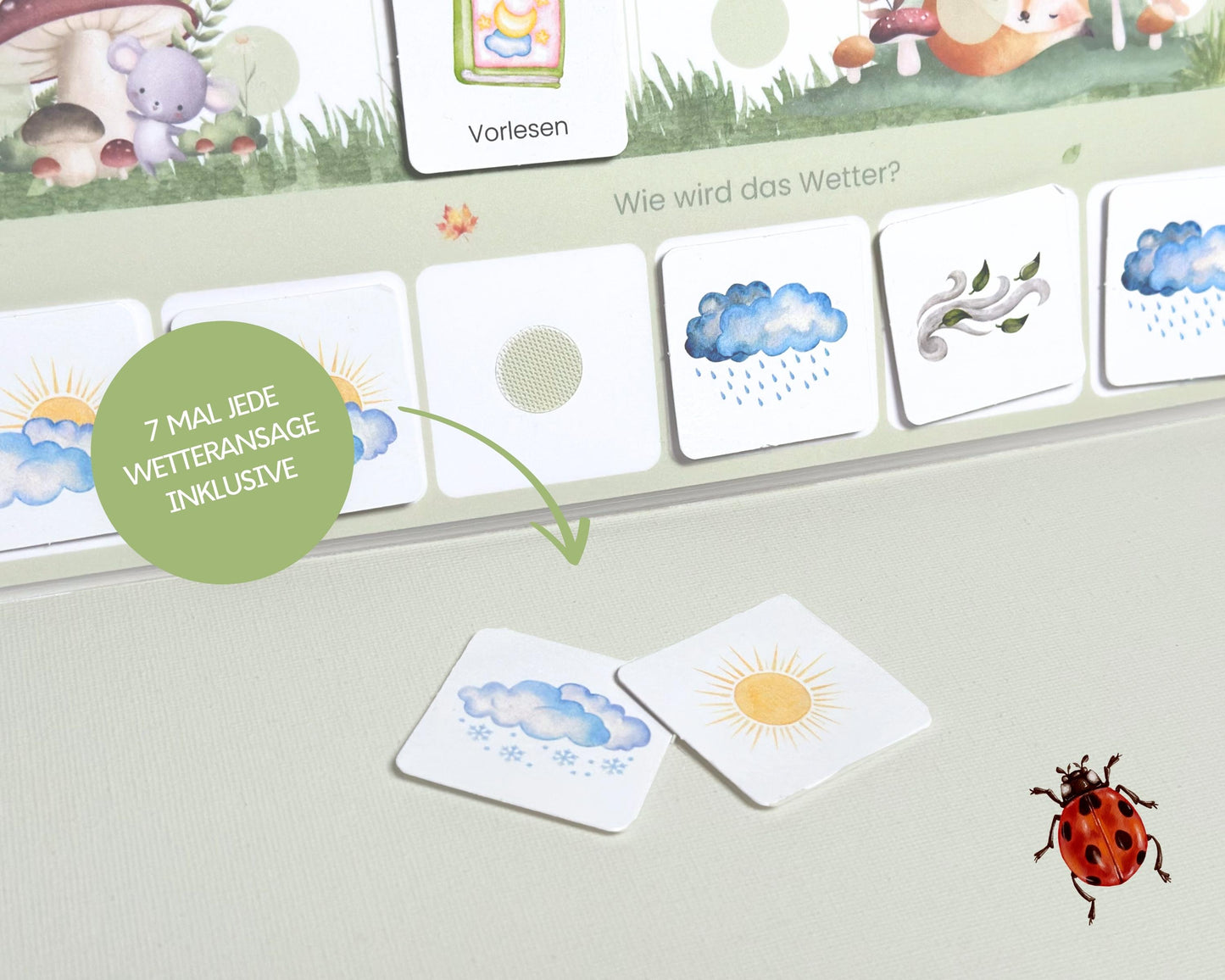 Wochenplan Verlängerung WALDTIERE 